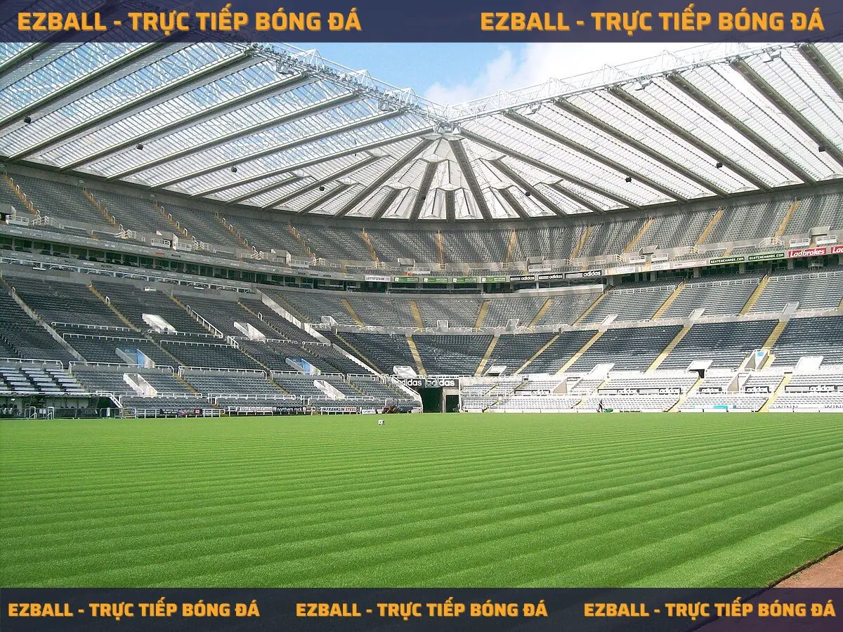 Sân vận động St. James’ Park, nhà của Alan Sheare